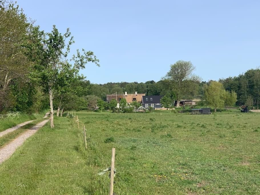 Kongsholmlund. Enjoy The Countryside. Apartamento Vejby Exterior foto